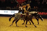 Quadrille - 00683